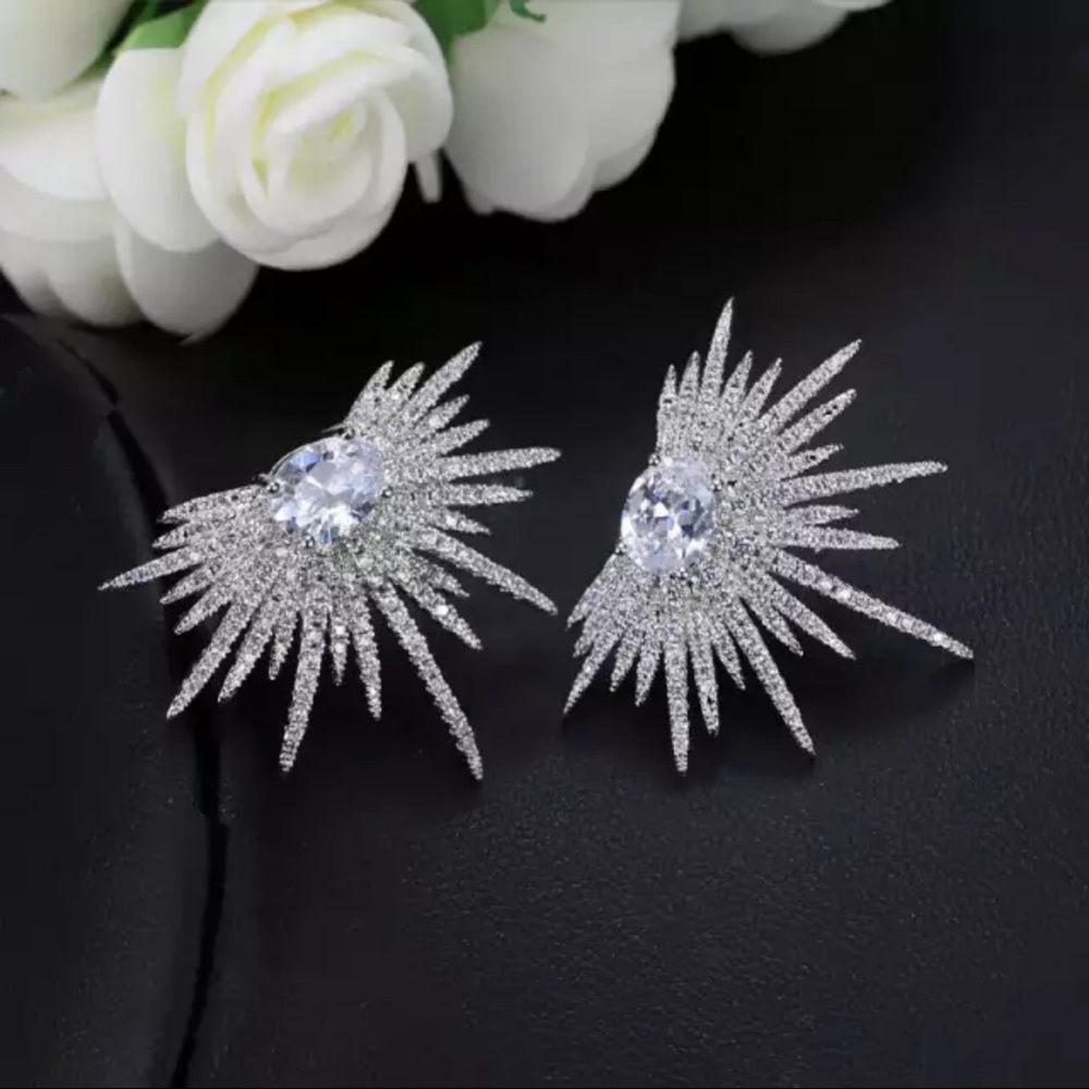 New Women’s Beautiful Diamond Earrings New